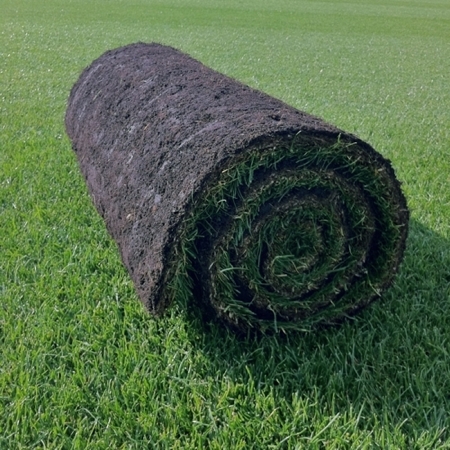 Family Lawn Turf - FROM £2.28 per m2 | Buy turf online at great prices