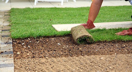 laying turf