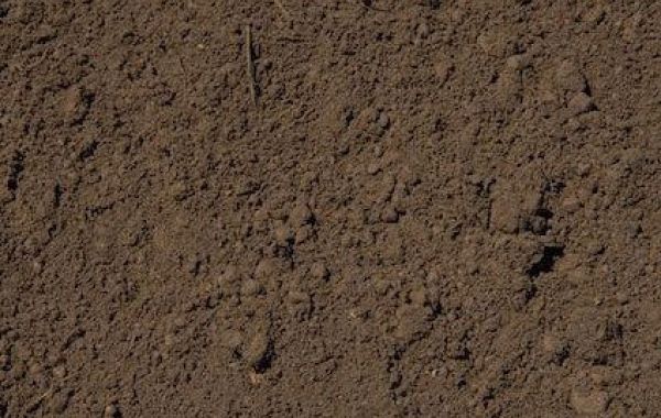 Lawn Soil Mix