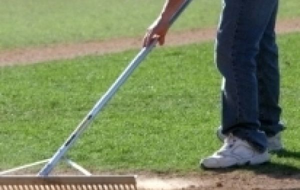 Top Dressing