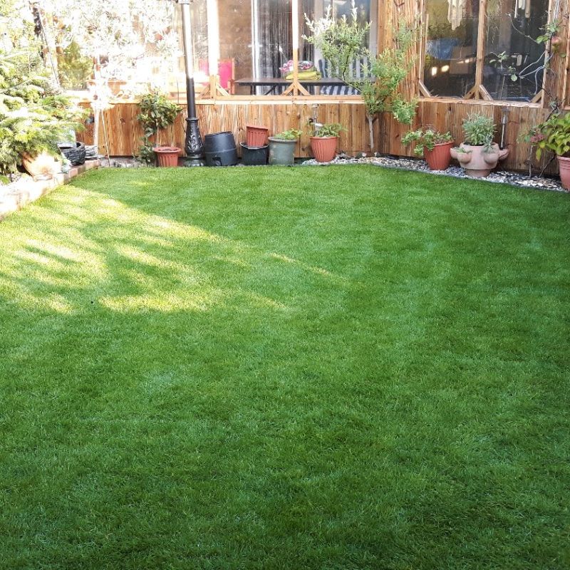 Supreme Lawn Turf